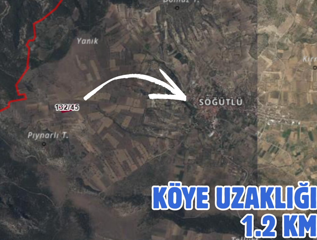 DENİZLİ ÇARDAK SÖĞÜT 7.882 M² TARLAMIZ SATILIKTIR - DENİZLİ ÇARDAK fotoğraf 2